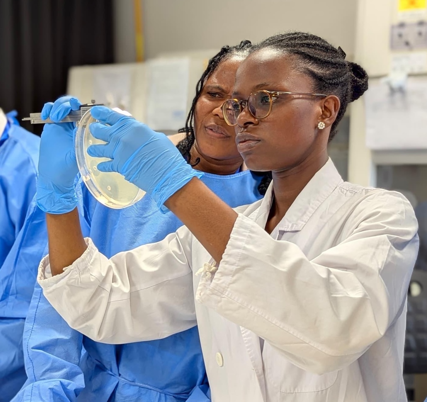 Fungal Identification and Antifungal Susceptibility Testing (AFST)