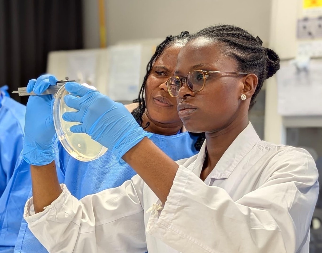 Fungal Identification & AFST