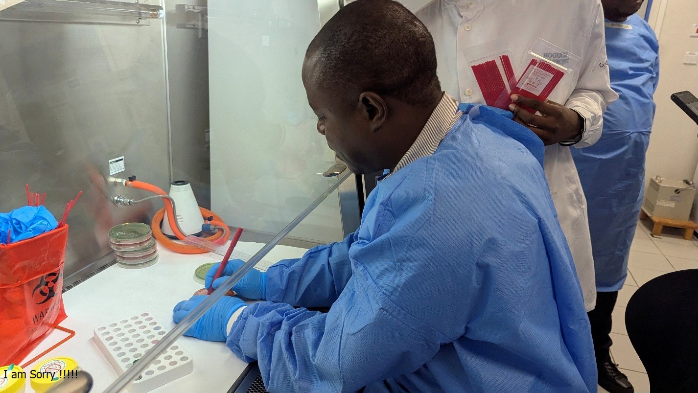 Bacteriology Testing for Identification and Antimicrobial Susceptibility Testing of GLASS Priority Pathogens (Module 4)